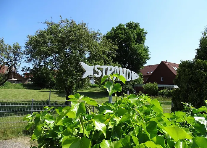 Wintershörn Kellenhusen